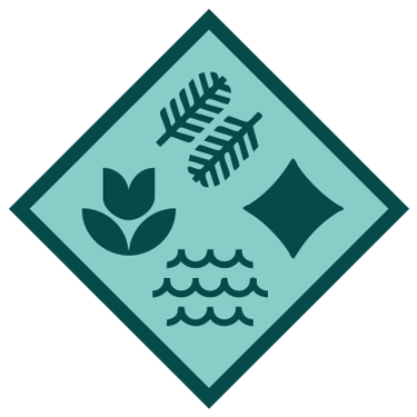 Airedale Junior Academy logo